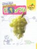 فارسی نهم تست تیزهوشان خیلی سبز