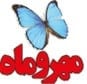 امتحانت