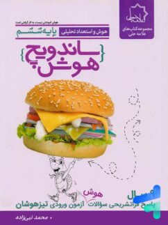 ساندویچ هوش و استعداد تحلیلی ششم علامه حلی