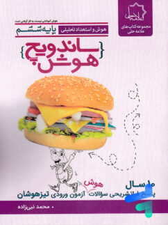 ساندویچ هوش و استعداد تحلیلی ششم علامه حلی