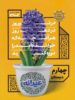 عیدانه چهارم ابتدایی گاج