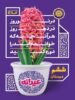 عیدانه ششم گاج