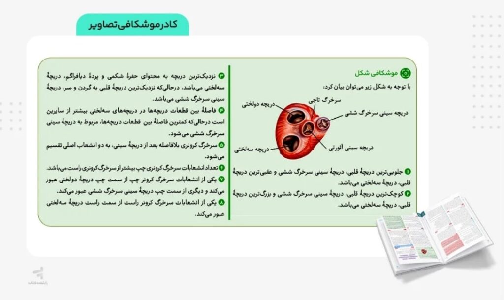 درسنامه‌های این کتاب چطور هستند؟