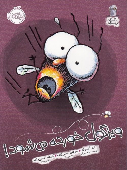 مگسک و پسرک, ویزگول خورده می شود پرتقال