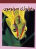 بیولوژی سولومون جلد پنجم خانه زیست شناسی