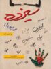 سیزده علی میرصادقی بارسا