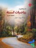 گشت و گذاری در ریاضیات گسسته جلد دوم مبتکران