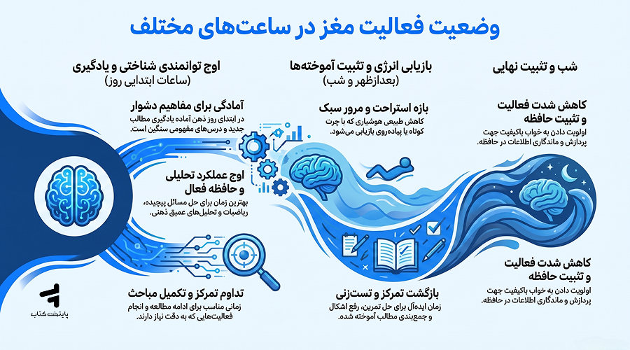 وضعیت فعالیت مغز در ساعتهای مختلف