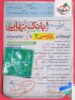 بانک نهایی فارسی یازدهم خیلی سبز