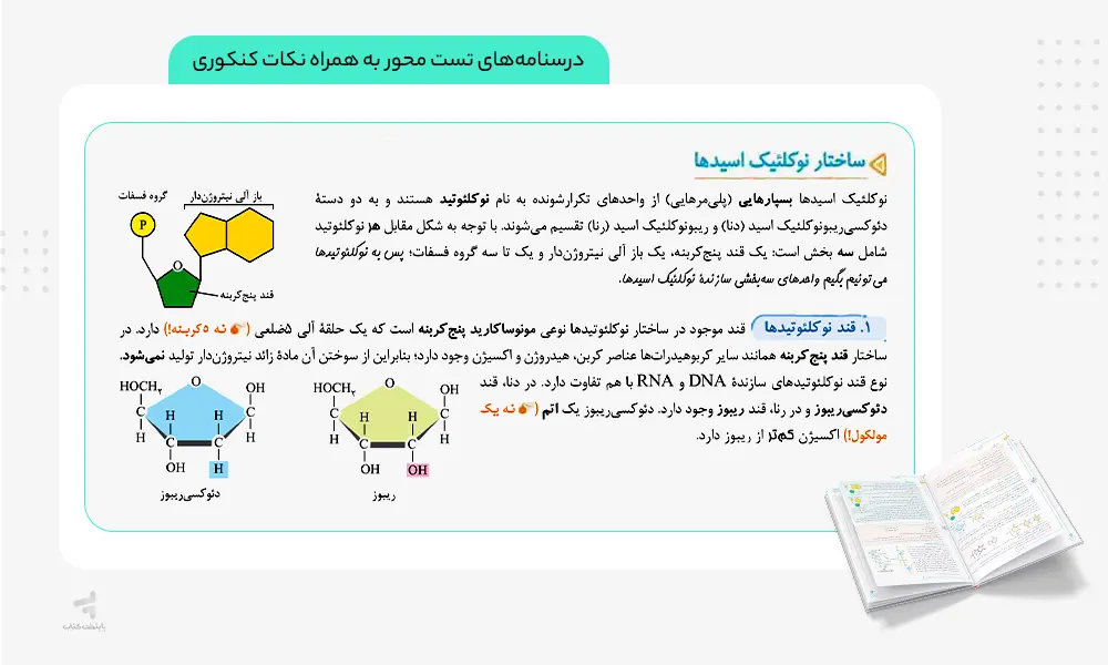 درسنامه های همراه نکات کتاب زیست دوازدهم تست خیلی سبز