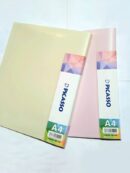 کلربوک پاستلی 40 برگ پیکاسو