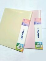 کلربوک پاستلی 40 برگ پیکاسو