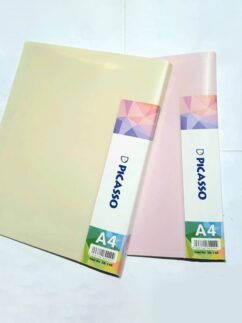 کلربوک پاستلی 40 برگ پیکاسو