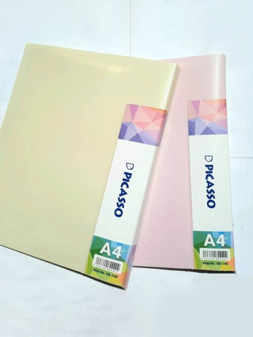 کلربوک پاستلی 40 برگ پیکاسو