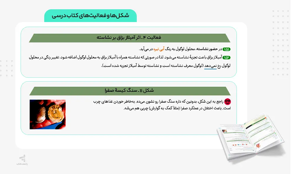 شکل ها و فعالیت های کتاب فرمول بیست زیست دهم