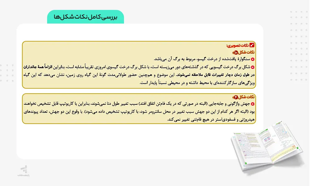 بررسی کامل نکات شکل ها در کتاب ماجرای بیست زیست دوازدهم