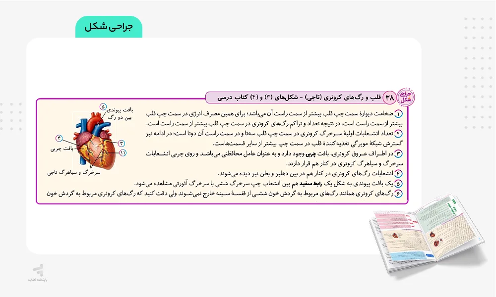 جراحی شکل‌های کتاب درسی در کتاب زیست شناسی دهم نیوژن