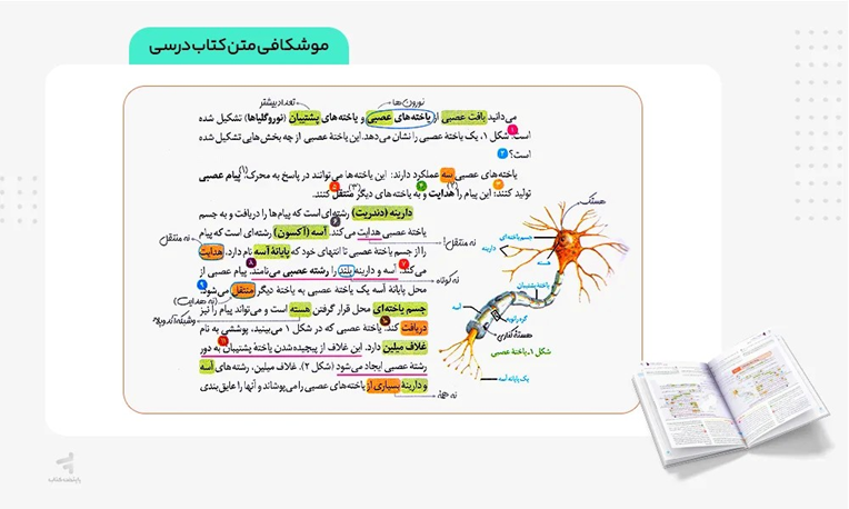 ساختار و محتوای آموزشی کتاب تک‌جلدی غنی‌شده زیست یازدهم گاج