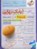 بانک نهایی فلسفه دوازدهم خیلی سبز