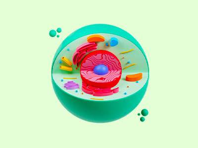 بودجه بندی زیست کنکور 1405؛ تعداد سوالات هر فصل