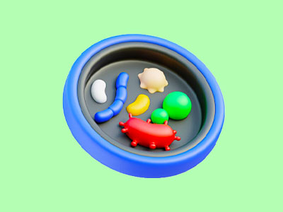تحلیل و بررسی کتاب زیست جامع خیلی سبز (پینوکیو)