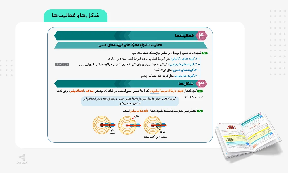 شکل ها و فعالیت ها فرمول بیست زیست یازدهم