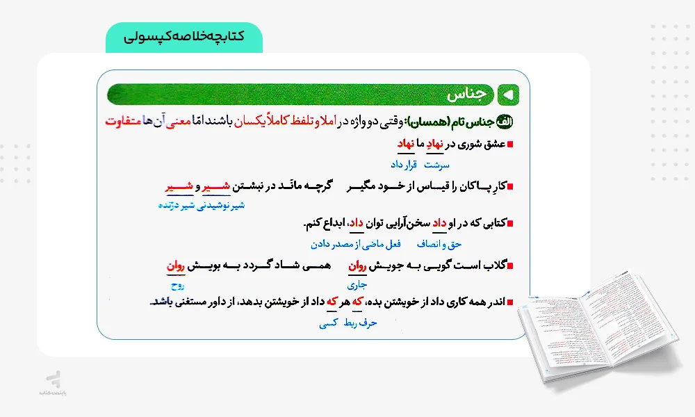 خلاصه کپسولی بیست پک فارسی دهم