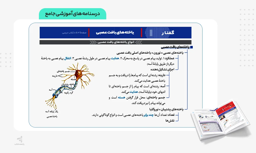 درسنامه های آموزشی زودپز زیست شناسی یازدهم