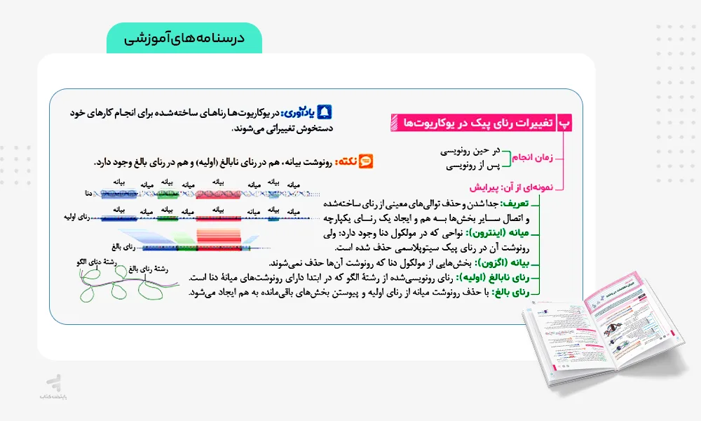 درسنامه بیست پک زیست دوازدهم