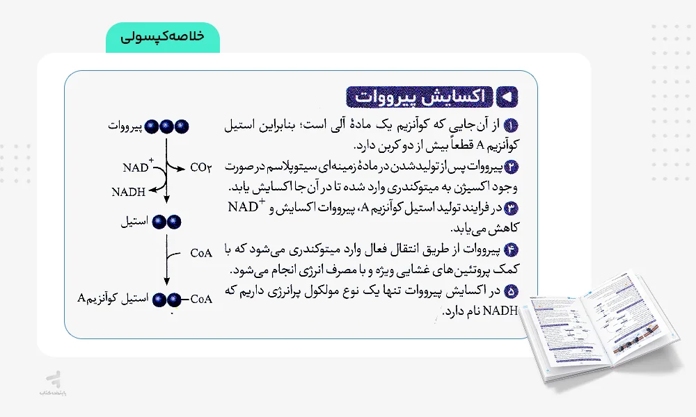 خلاصه کپسولی بیست پک زیست دوازدهم